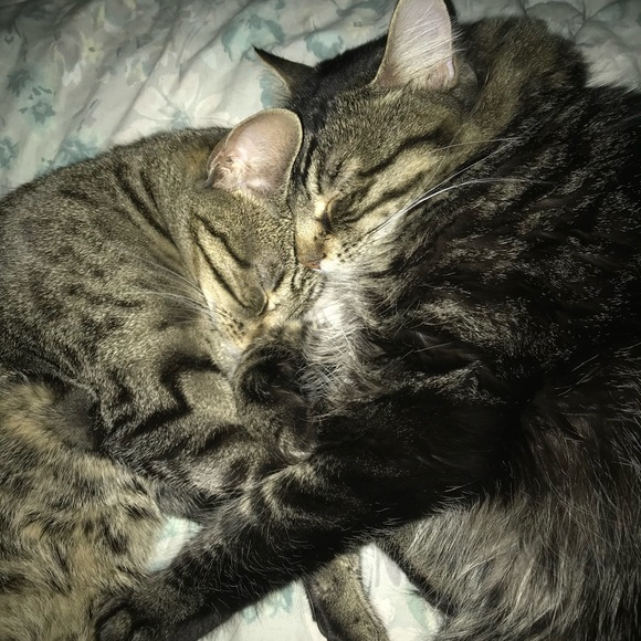 Meet your Posher, Jen - Picture 3 of 4